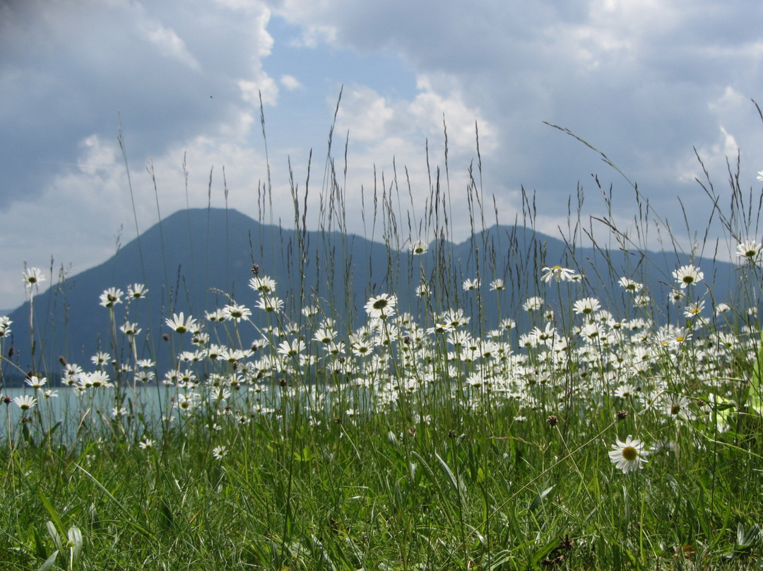 Strandbad Grieblinger景点图片