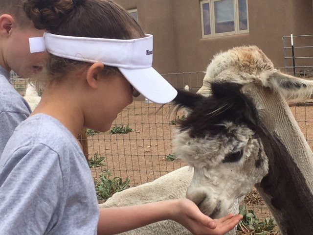 Wide Sky Ranch-圣菲必去景点