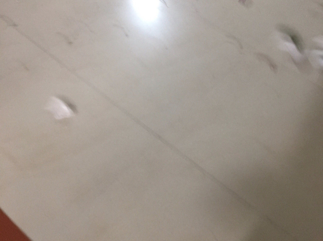 Hotel Rara Avis主图