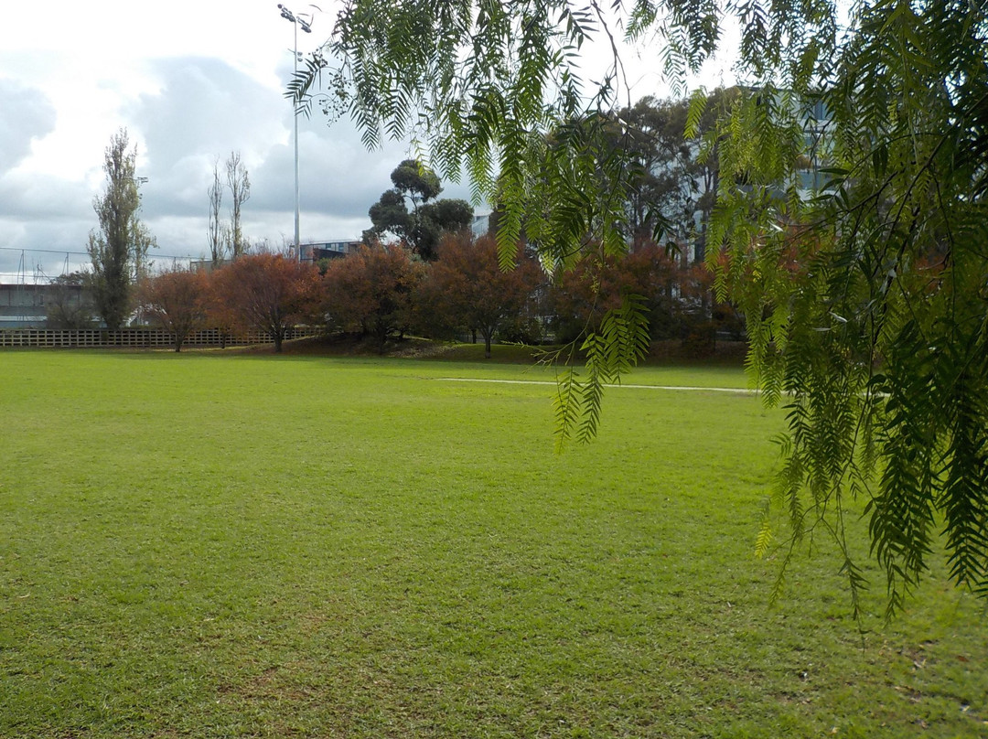 Victory Square Reserve