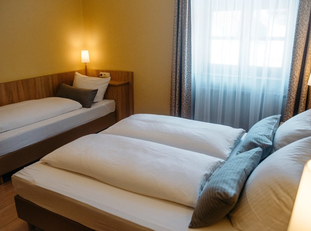 Hotel Müllerbräu主图