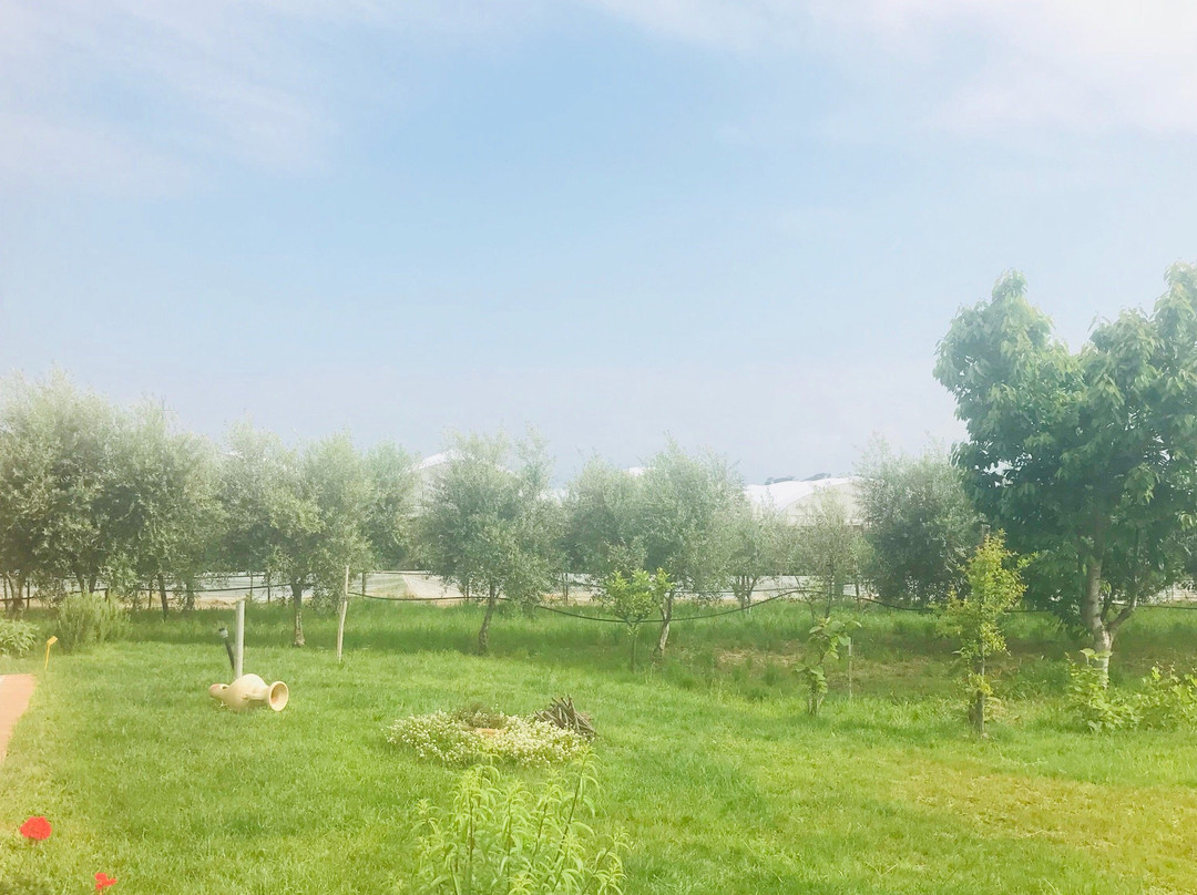 B&B Le Colonne di Hera Argiva主图