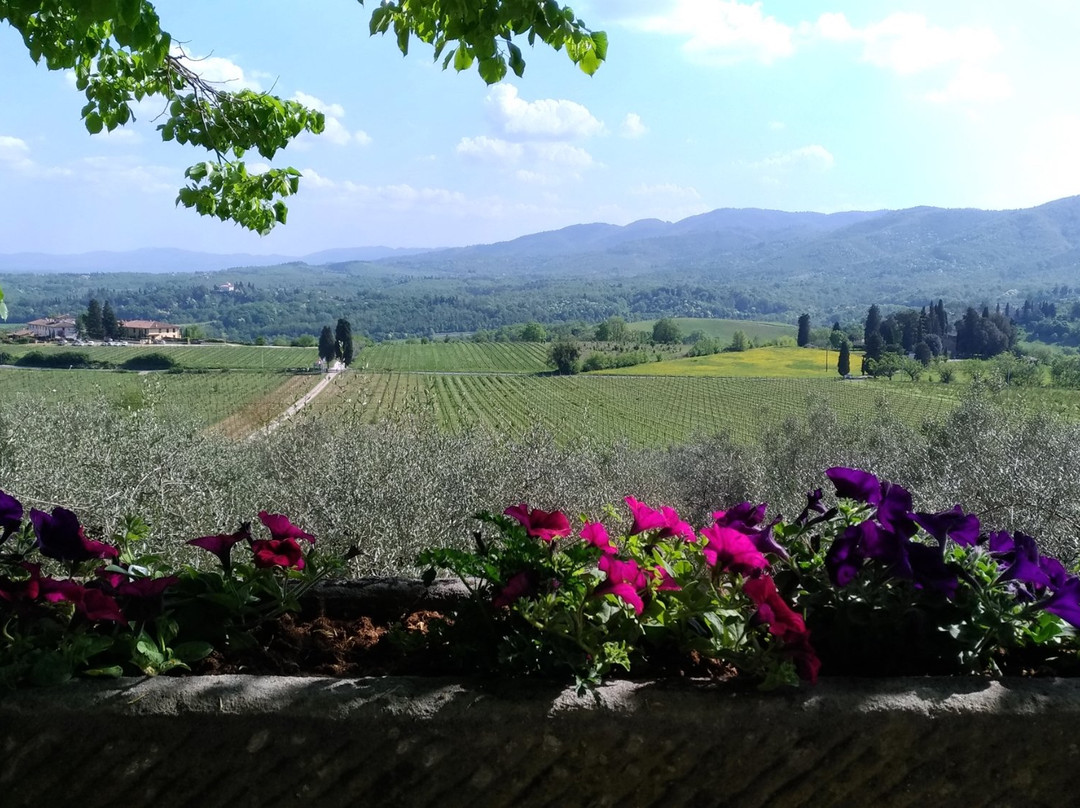 Il Frassine Farm & Farmhouse Tuscany