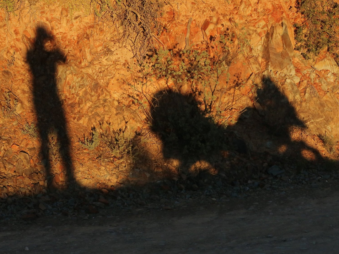 AKA Motorcycle Tours-莫塞尔贝必去景点