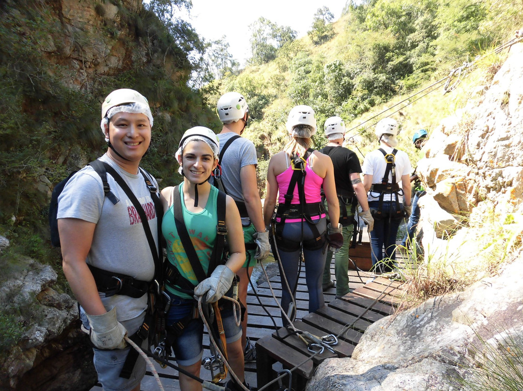 Magoebaskloof Canopy Tours景点图片