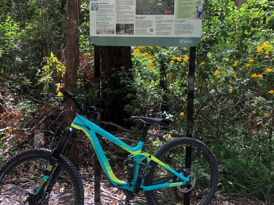 Nerang National Park景点图片