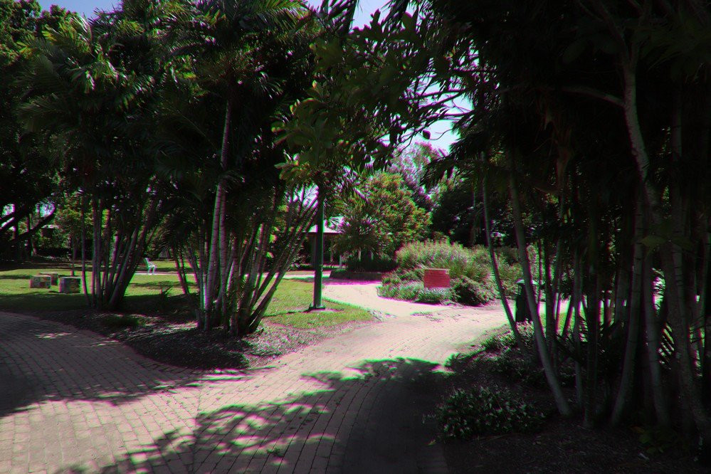 Dan Gleeson Memorial Gardens-Kirwan必去景点