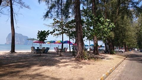 Beautiful Flower Resort-泳池