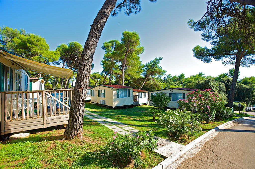 Arena Indije Campsite