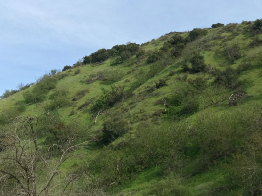 Chino Hills State Park-Brea必去景点