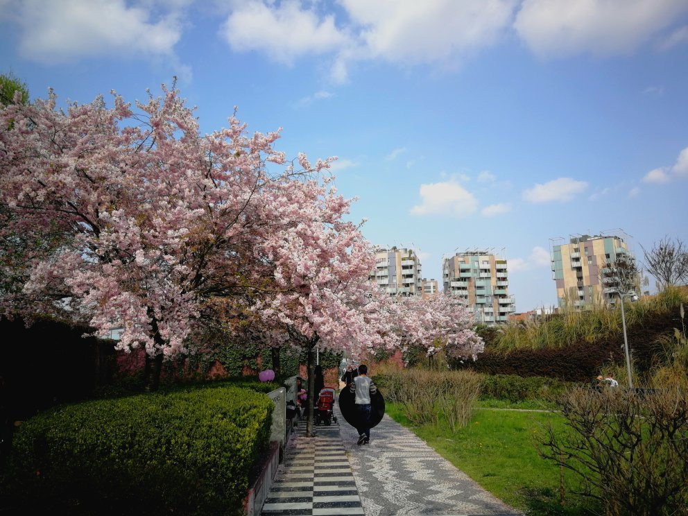 Parco del Portello景点图片