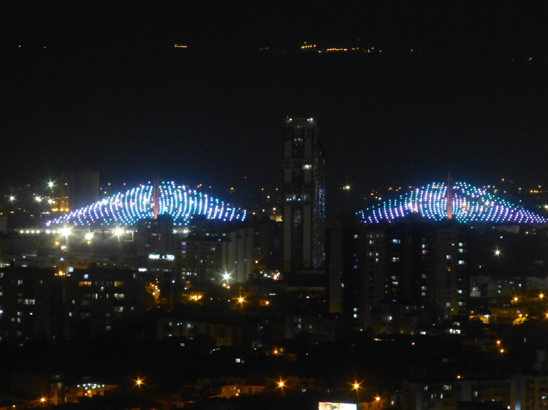 Puente del Bicentenario-布卡拉曼加必去景点