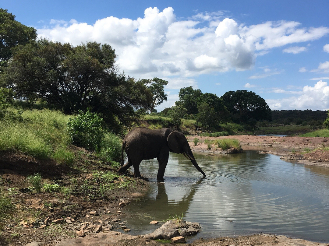 Afriguided Safaris-霍德斯普鲁特必去景点