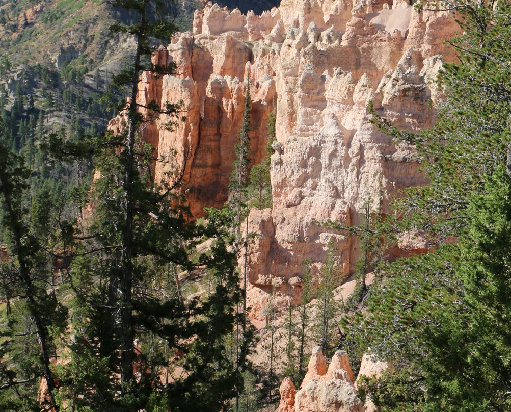 Swamp Canyon-布莱斯峡谷国家公园必去景点
