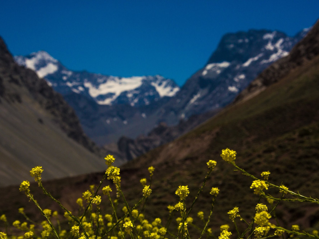 Turistando Chile-圣地亚哥必去景点
