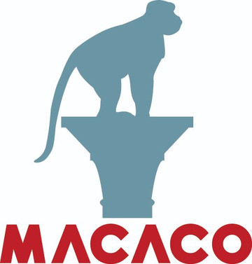 Macaco Tour-威尼斯必去景点