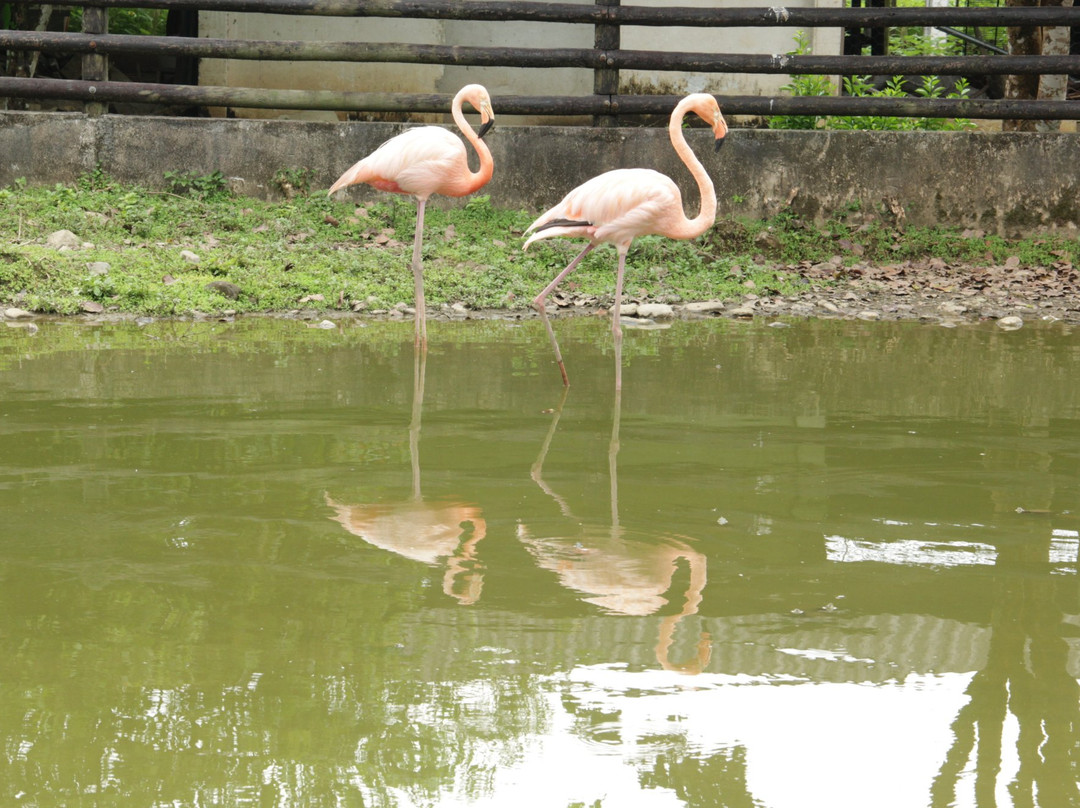 Hotel Campestre La Macarena主图
