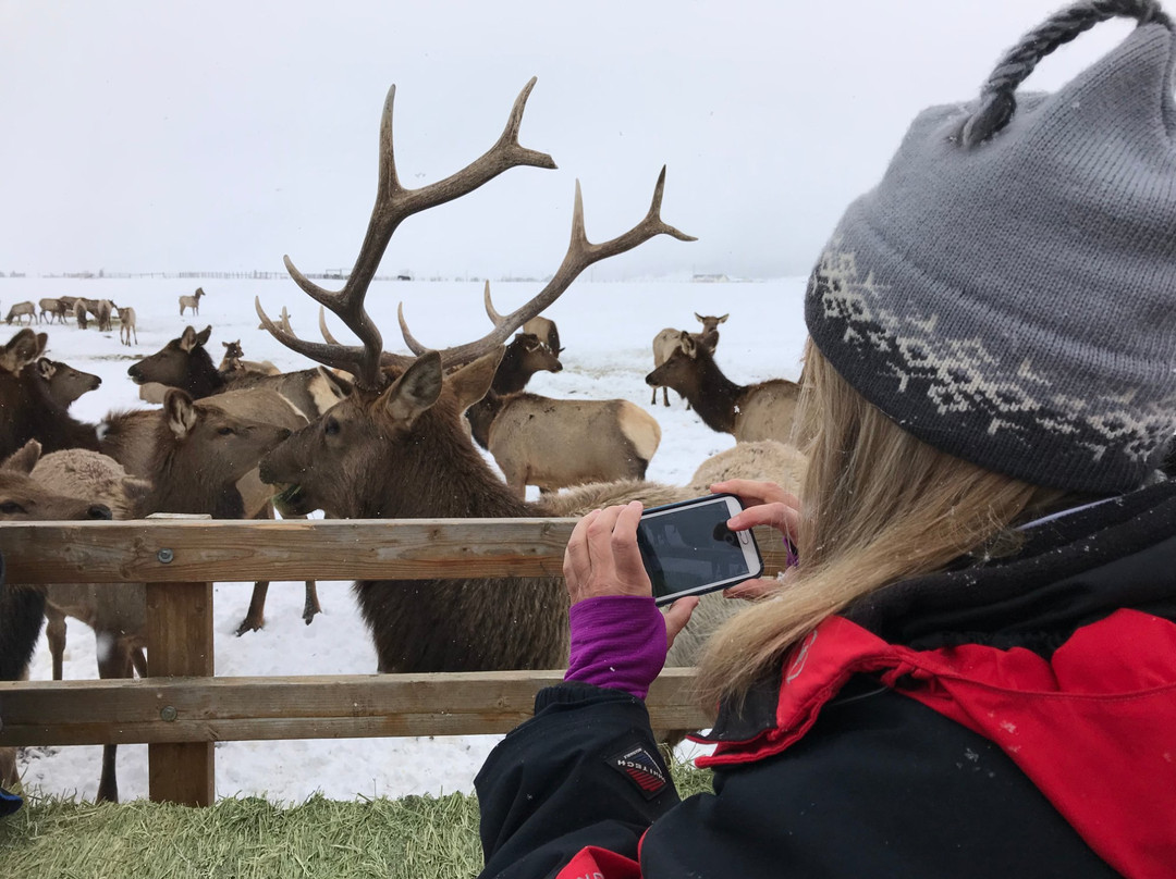 Hap and Florence Points Sleigh Rides-Donnelly必去景点