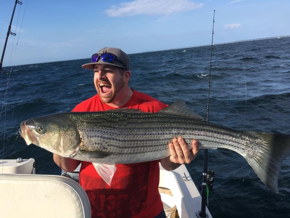 Zen Charters-查塔姆必去景点