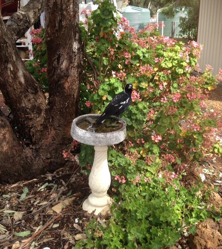 Century Lodge Bed & Breakfast主图