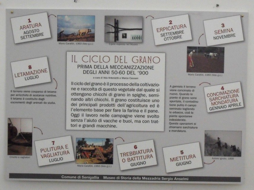 Museo di Storia della Mezzadria Sergio Anselmi-塞尼加利亚必去景点