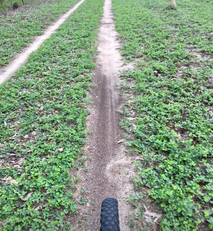 Davies Creek Mountain Bike Park-马里巴必去景点