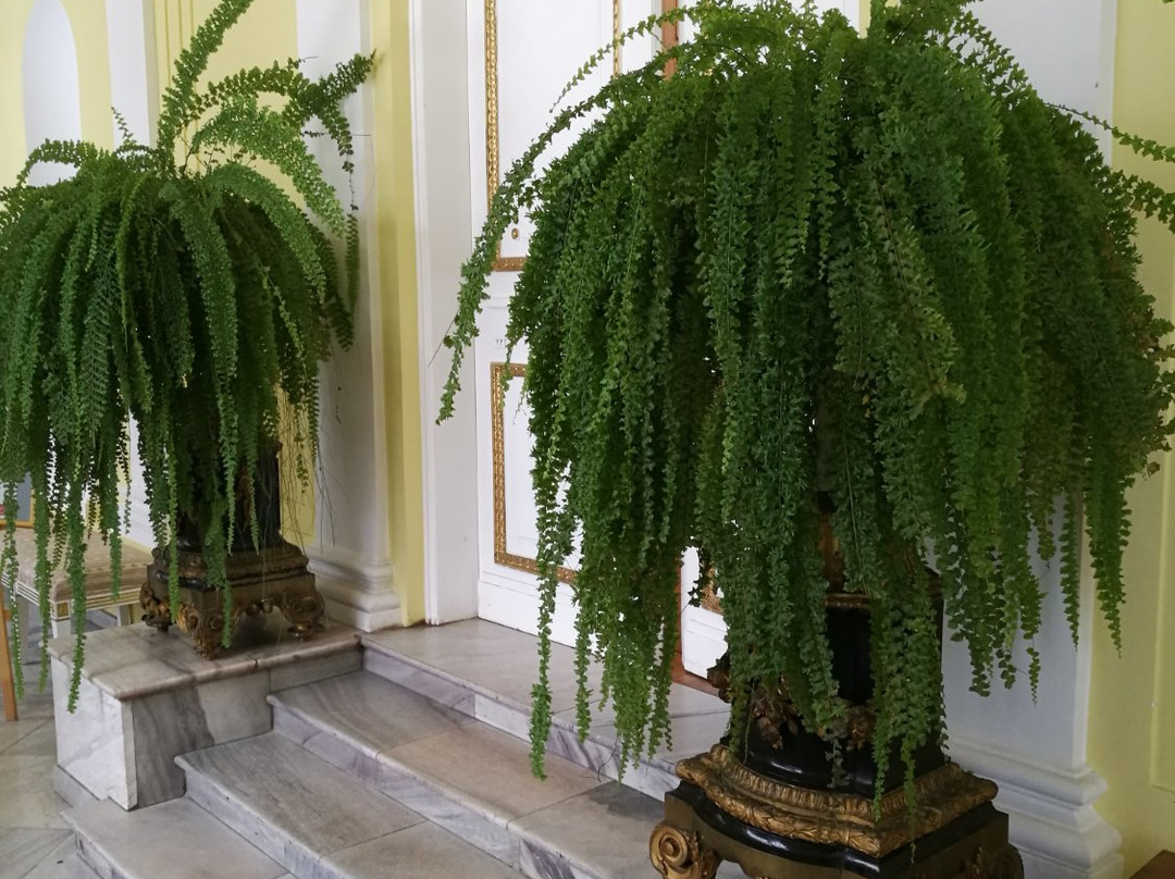 Jablonna Palace主图