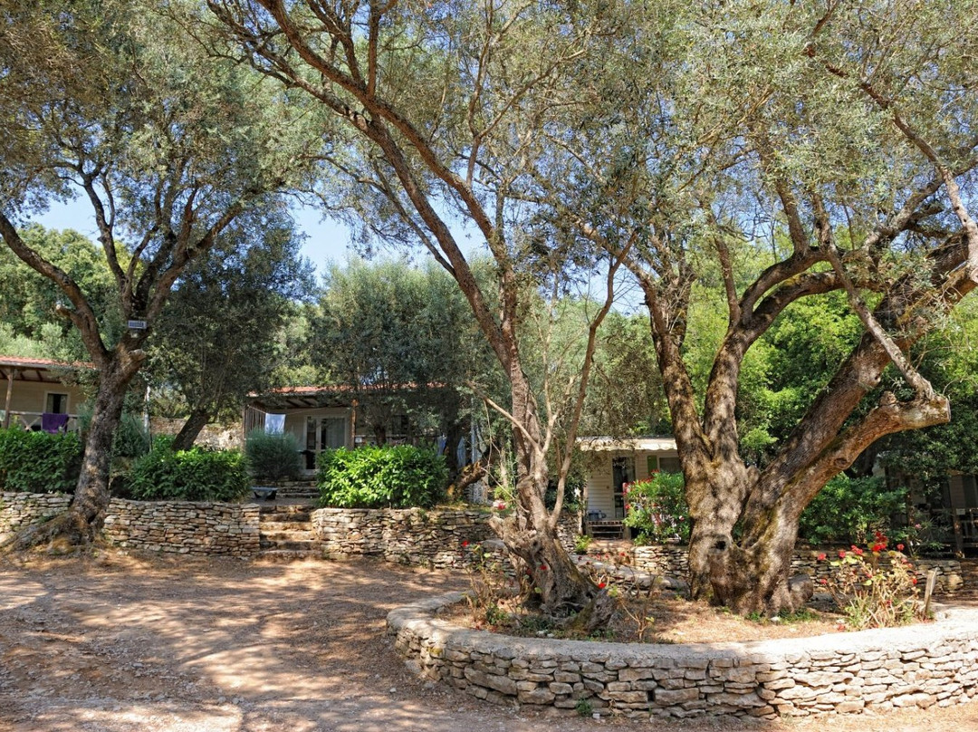 Campo di Liccia
