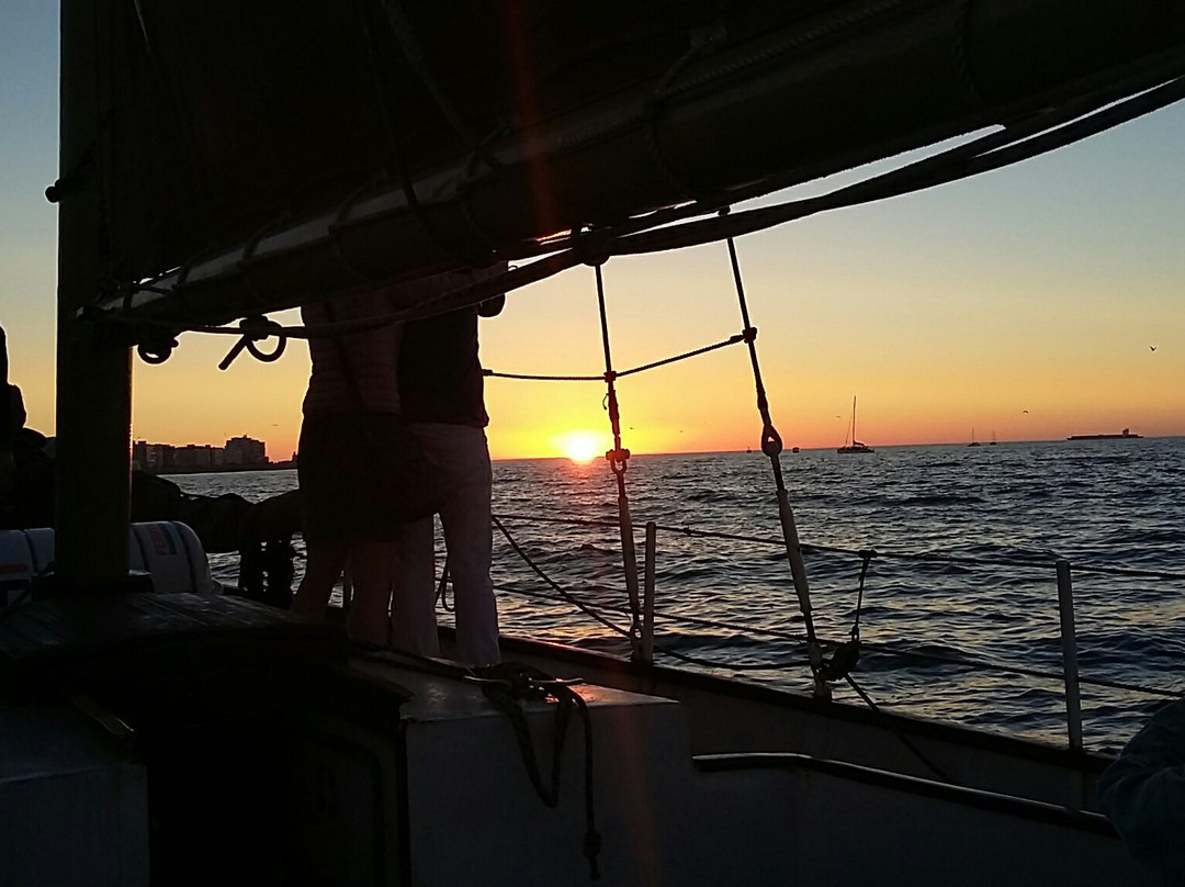 Waterfront Adventures-开普敦中心区必去景点