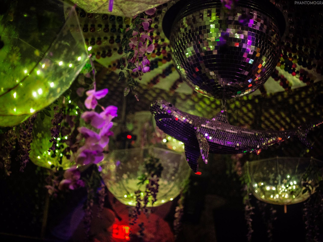 Do Not Sit On The Furniture-迈阿密海滩必去景点