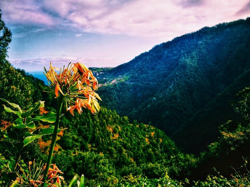 Levada Ribeira de Janela-莫尼什港必去景点