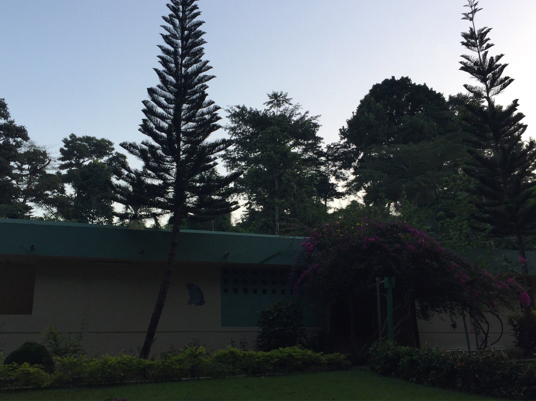 Bobiri Forest Reserve-Ashanti Region必去景点