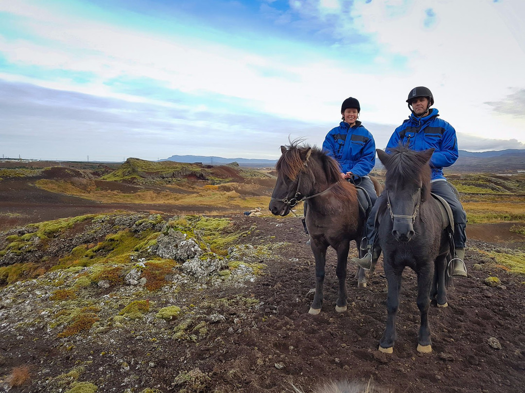 Reykjavik Riding景点图片