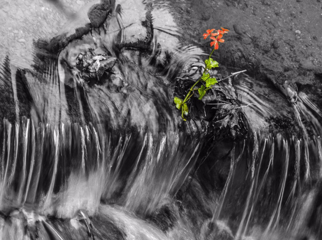 Zehnthaus (former Synagog)-巴哈拉赫必去景点