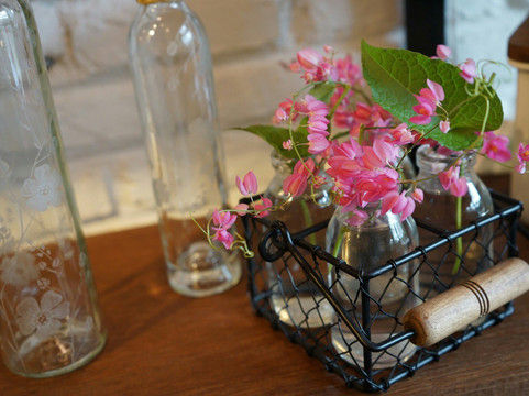 Paisley Things-雅加达必去景点