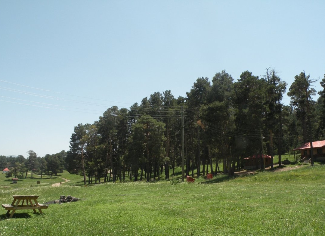 Kars Soguksu Tabiat Parki景点图片