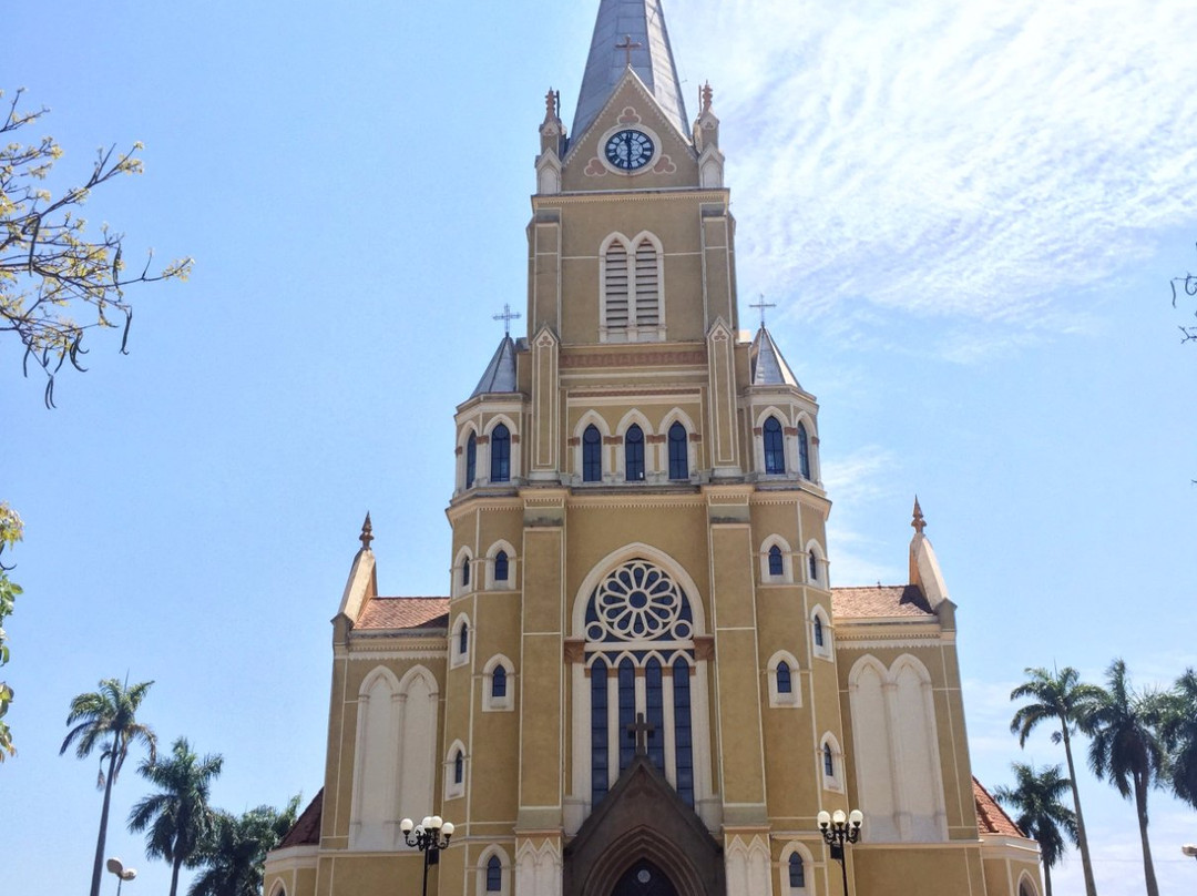 Santuário Santa Rita de Cássia景点图片