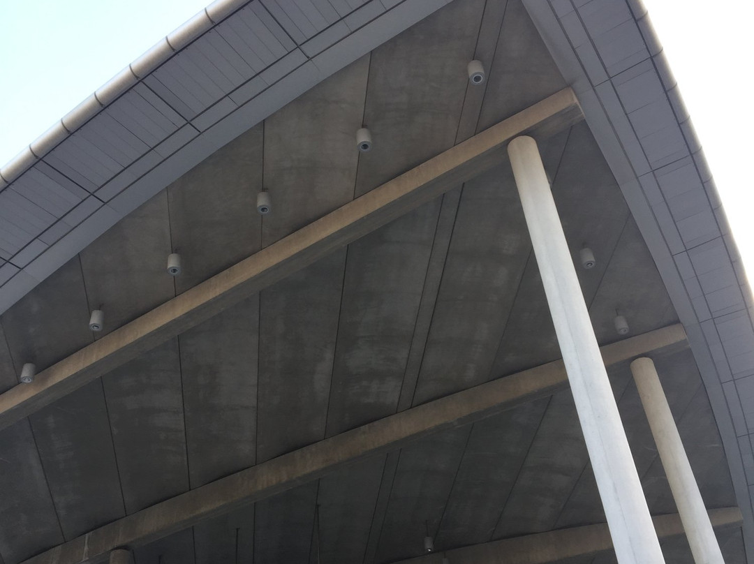 Palacio De Congresos De Valencia景点图片