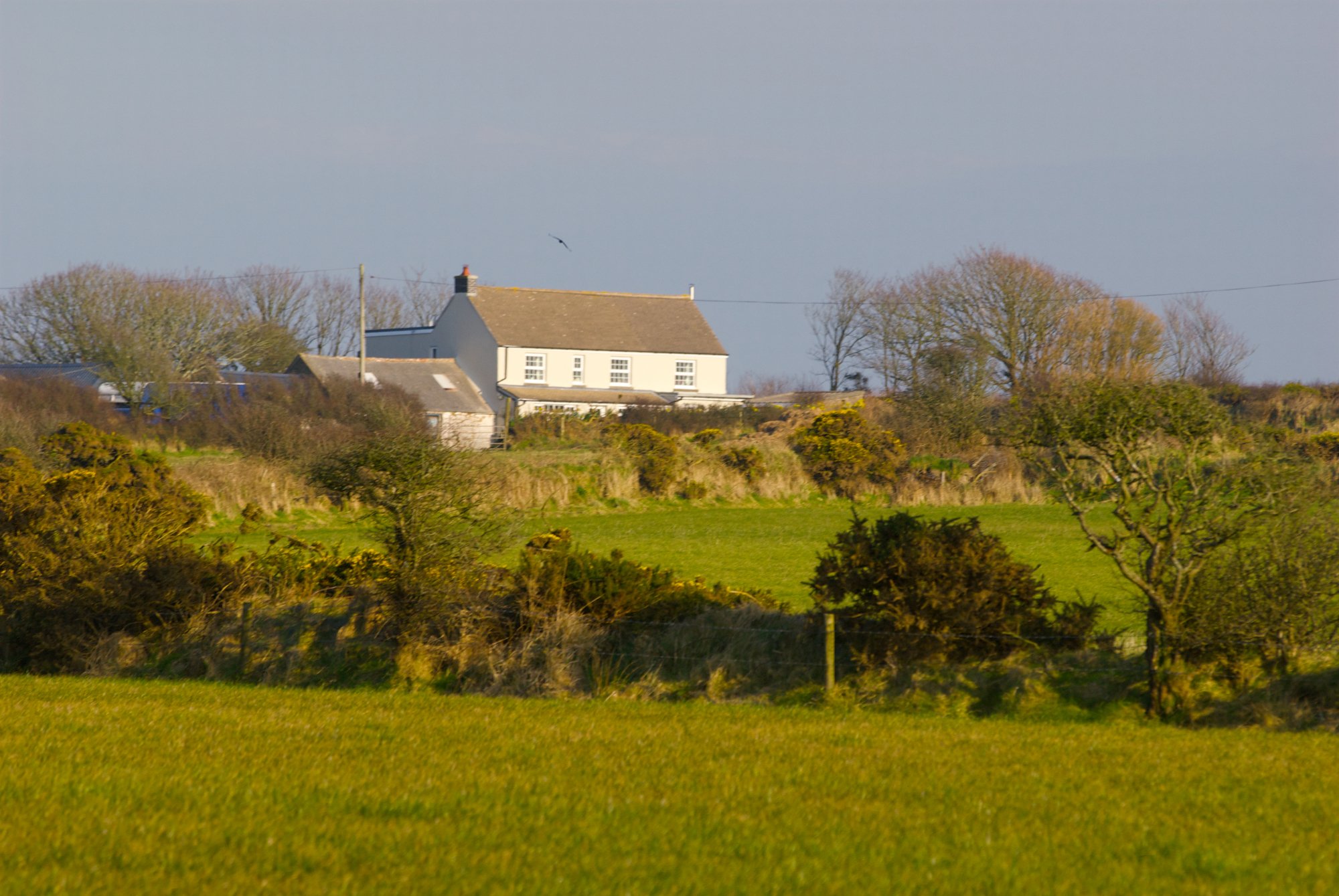 Llety Farm-官方
