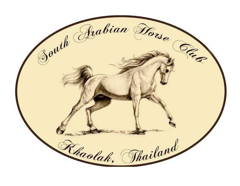South Arabian Horse Club-拉克山必去景点