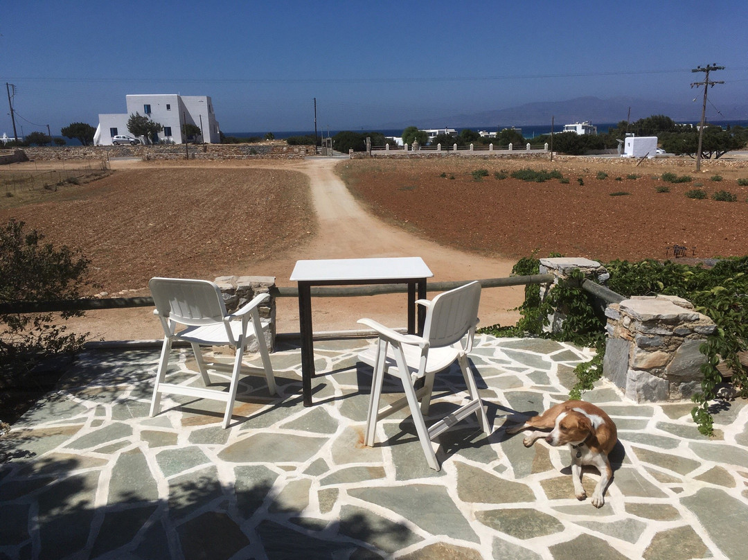 Manolis Farm Guest House