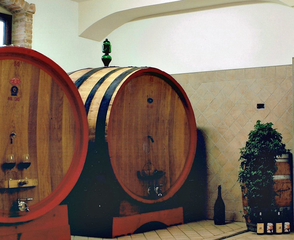 Azienda Vitivinicola Veglio Giovanni & Figli景点图片