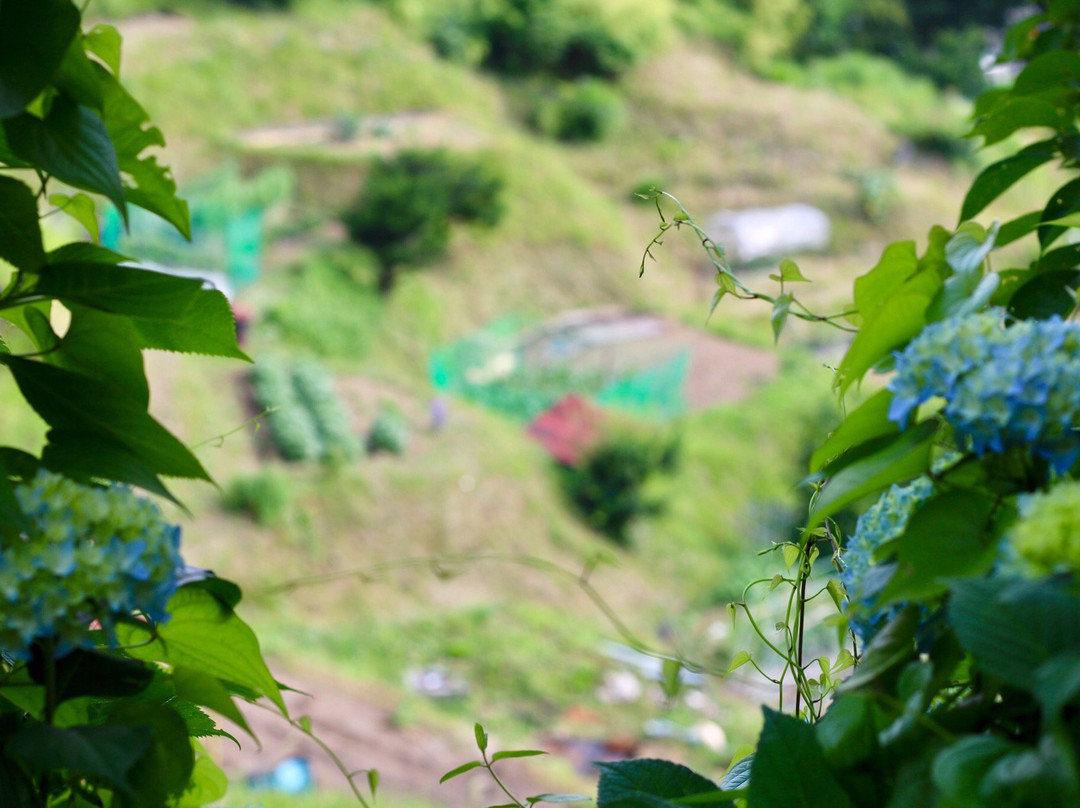 Kitayama Pathway-高山市必去景点