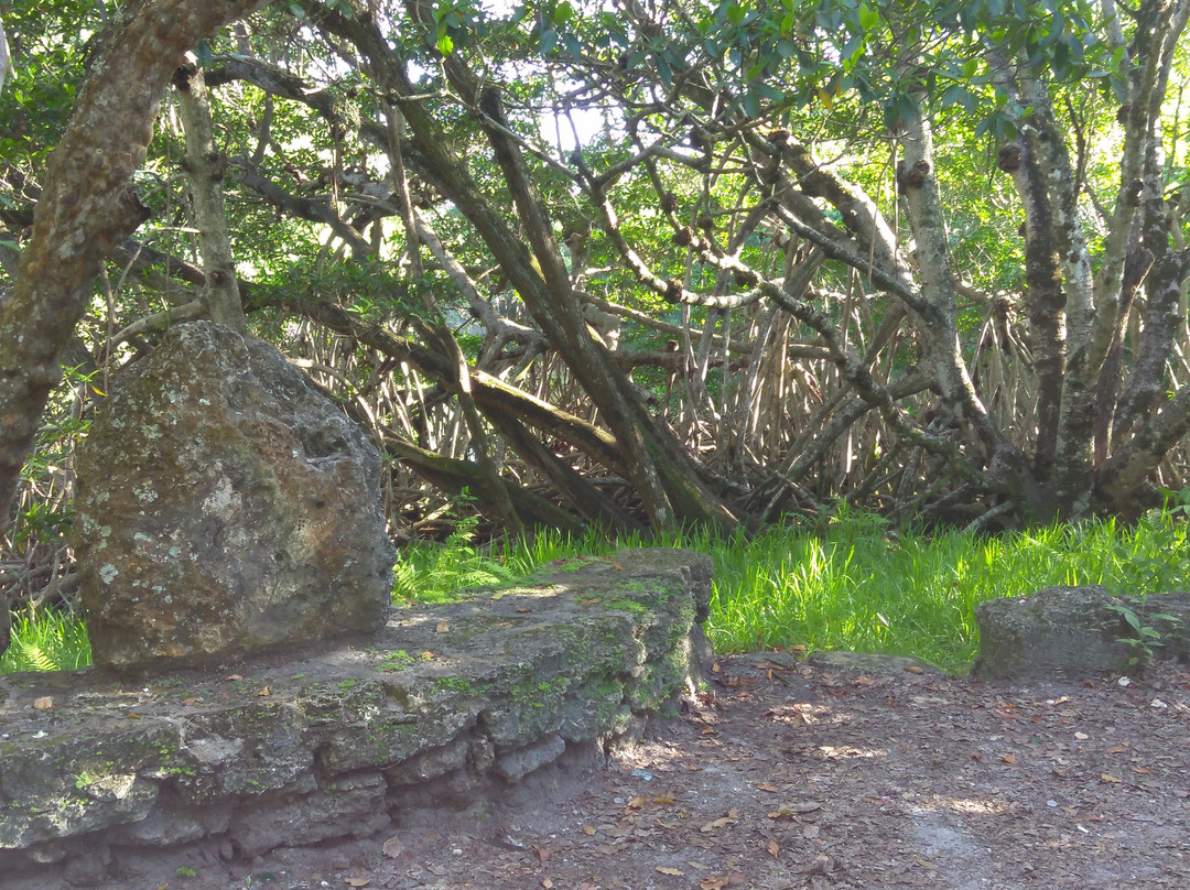 Greynolds Park-北迈阿密海滩必去景点