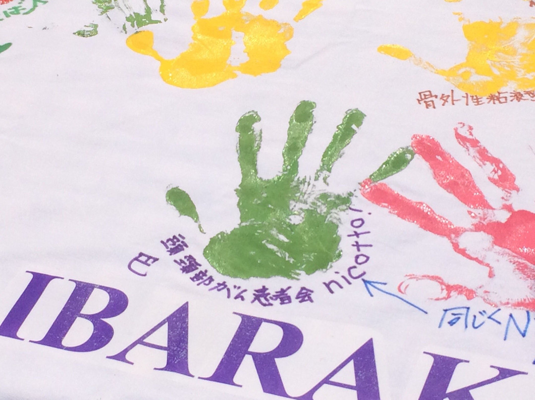 Iias Tsukuba-筑波市必去景点