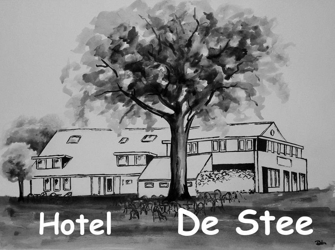 Hotel De Stee主图