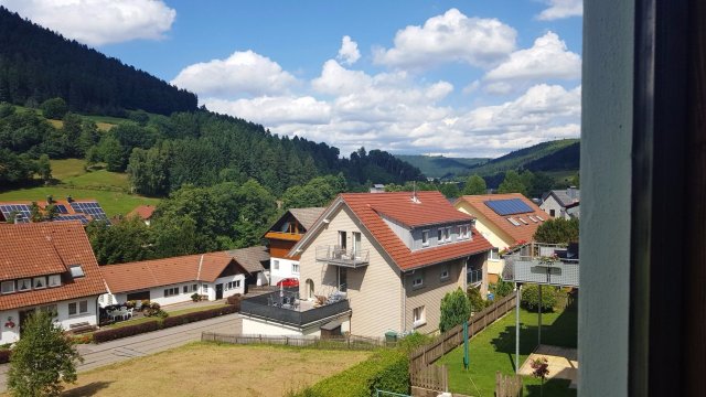 Haus Bergwiese-酒店景观