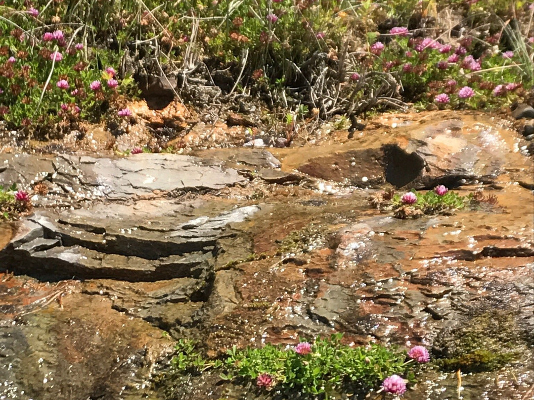 Lost Creek State Park-纽波特必去景点