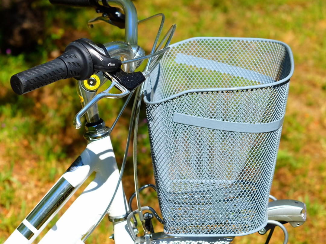 Xtreme Sport & Co - Bike and Scooter Rentals-阿尔盖罗必去景点