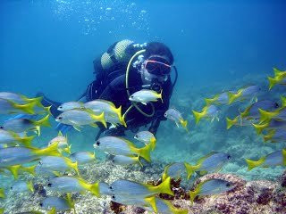 Calheta Diving Center-卡列塔必去景点
